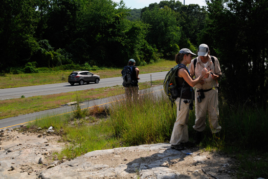 botanists surveying