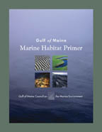 Gulf of Maine Marine Habitat Primer 