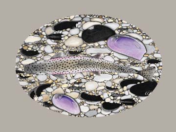 Cutthroats and Pearlshells: Colored pencil drawing done for the poster on the freshwater mussels of the Pacific Northwest