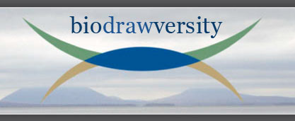 biodrawversity