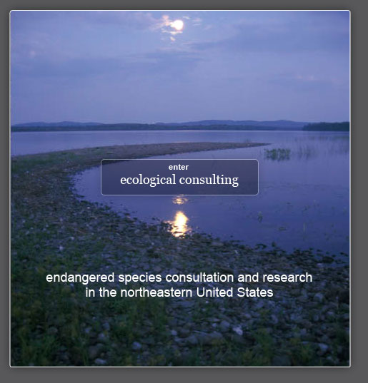 ecological consulting