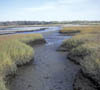 Marsh Creek