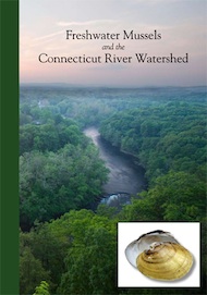 Freshwater Mussels and the Connecticut River Watershed 