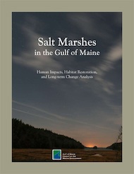 Salt Marshes in the Gulf of Maine