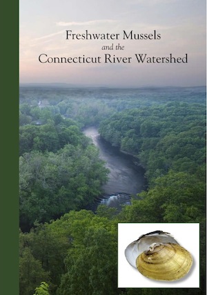 Freshwater Mussels and the Connecticut River Watershed